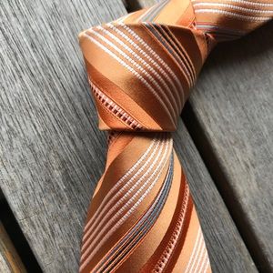 MINT Ermenegildo Zegna Classic Thick Silk Necktie